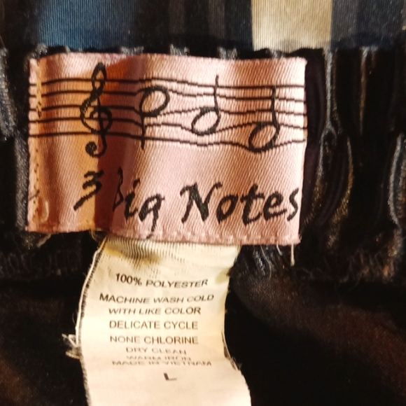 3 BIG NOTES Black Costume Poodle Skirt Size Large - Picture 3 of 4